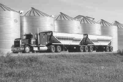 LOW ELEVATION: By January 2000 the bottom had fallen out of the canola market; it was selling for $239.61/tonne.