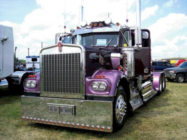 THE POWER OF PURPLE: Stan Kamulecks' 1981 Kenworth W900 took home a pair of first place trophies in the Best Vintage Highway Tractor - Pre-1986 and Best Professional Show/Flagship Truck categories.