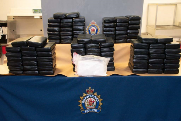 Picture of the seized cocaine