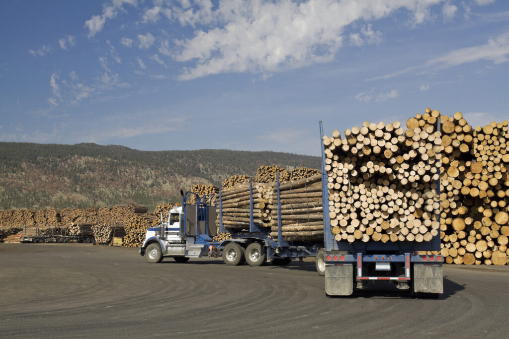 logging truck 