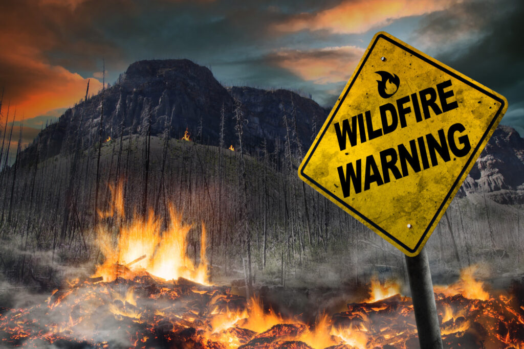 wildfire sign