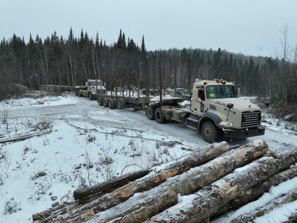 logging truck platoon